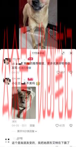 狗狗化妆带货现在喜欢宠物…#情报-搞钱线报📢论坛-网创交流-优创圈